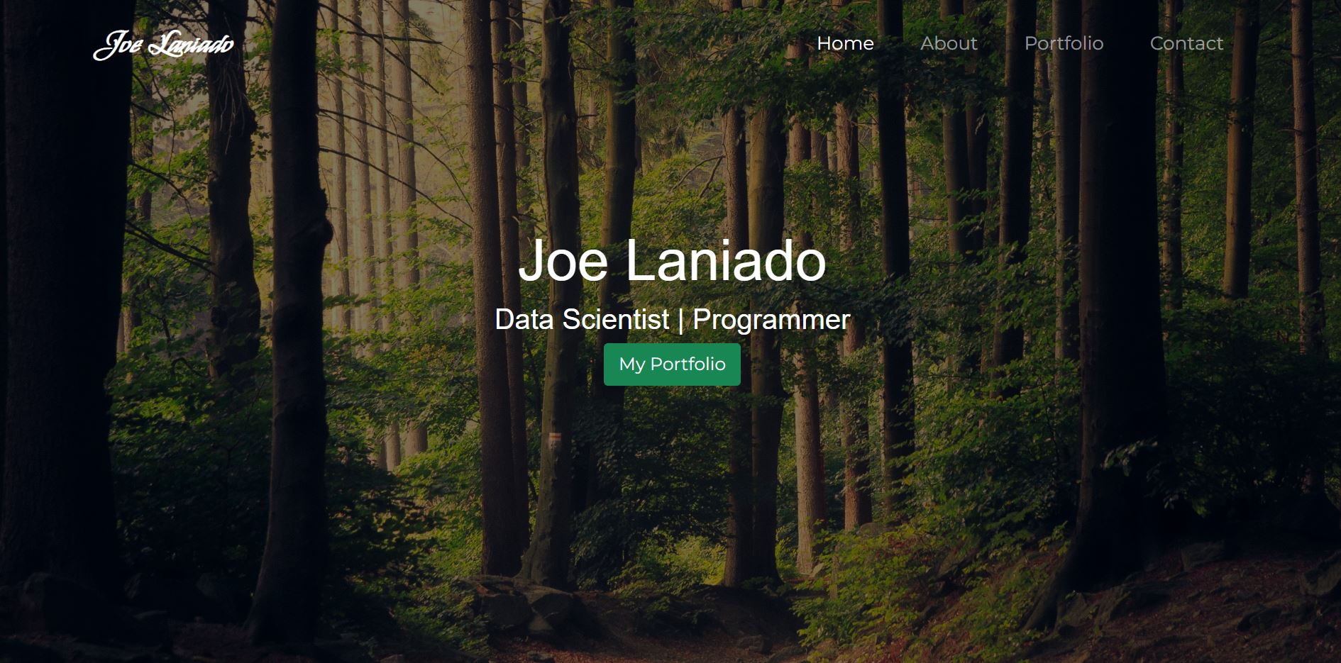portfolio website
